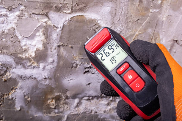 Mold Removal and Inspection in West Haven Sylvan, OR